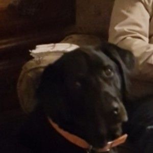 Meet your Posher, Charles